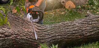 Best Artificial Turf Installation  in Bay Shore, NY