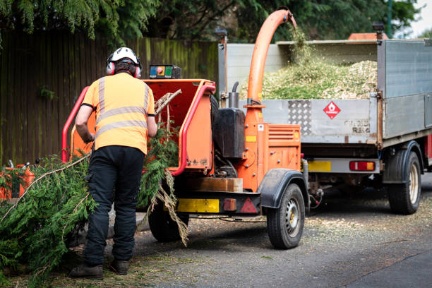 Best Lawn Drainage Solutions  in Bay Shore, NY