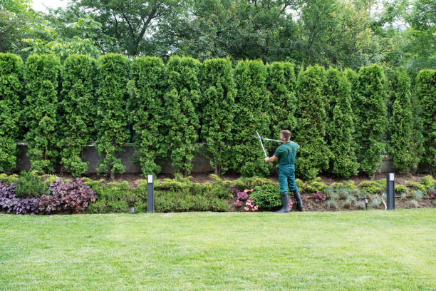 Best Lawn Watering Services  in Bay Shore, NY