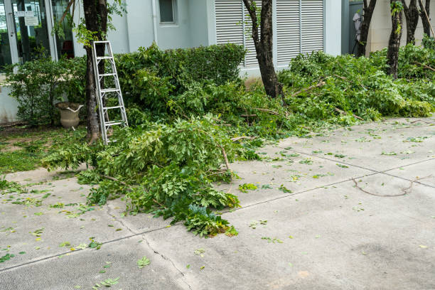 Best Lawn Mowing  in Bay Shore, NY
