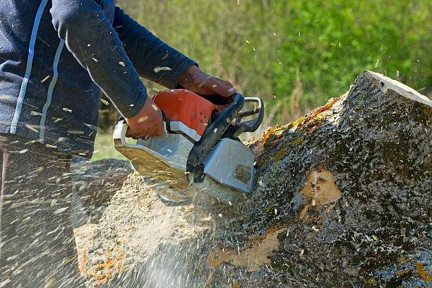 Lawn Grading and Leveling in Bay Shore, NY